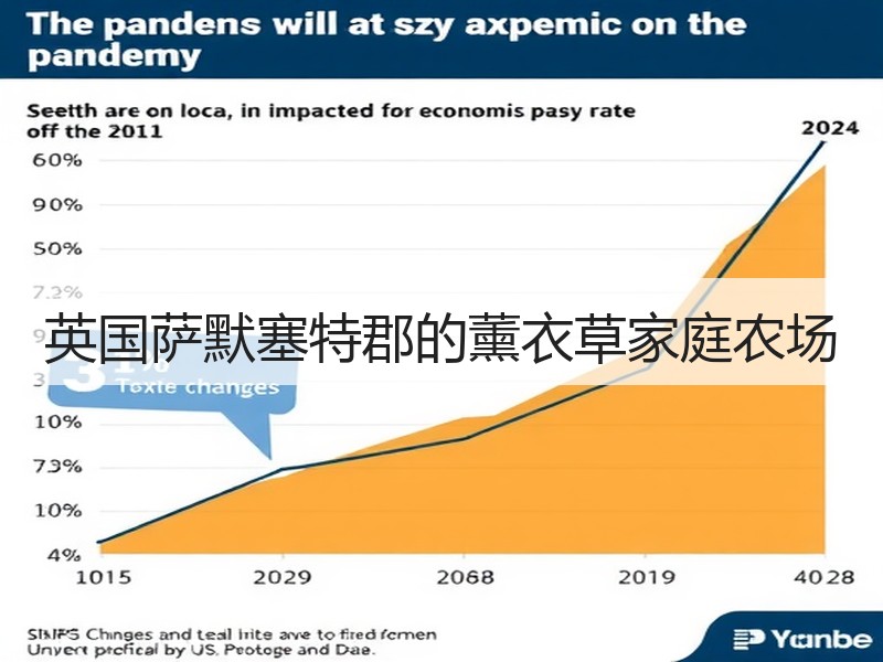 英国萨默塞特郡的薰衣草家庭农场