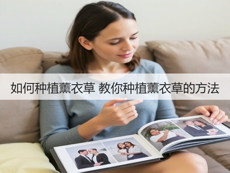 如何种植薰衣草 教你种植薰衣草的方法