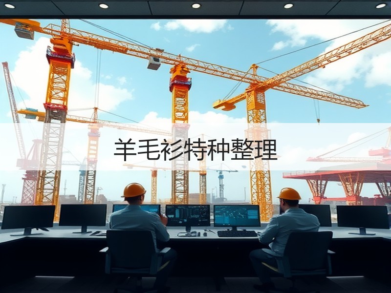 羊毛衫特种整理
