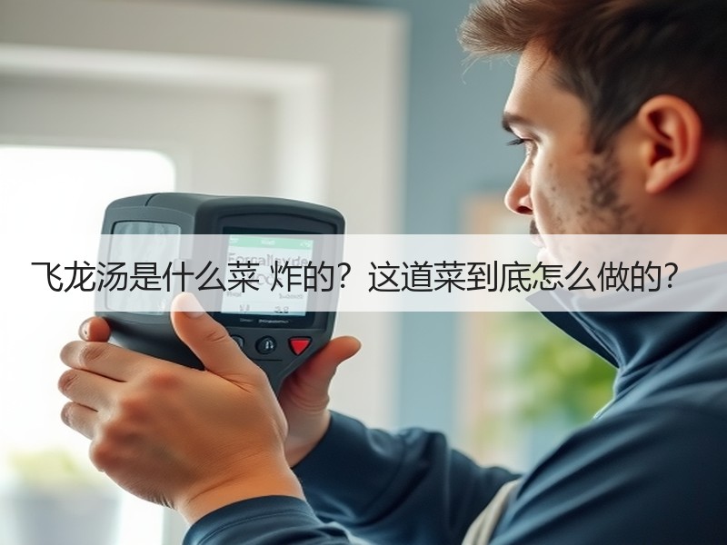 飞龙汤是什么菜 炸的？这道菜到底怎么做的？