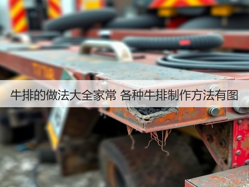 牛排的做法大全家常 各种牛排制作方法有图