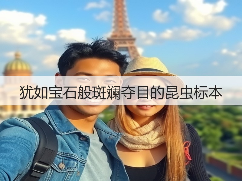 犹如宝石般斑斓夺目的昆虫标本