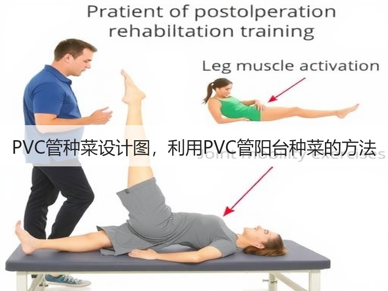 PVC管种菜设计图，利用PVC管阳台种菜的方法