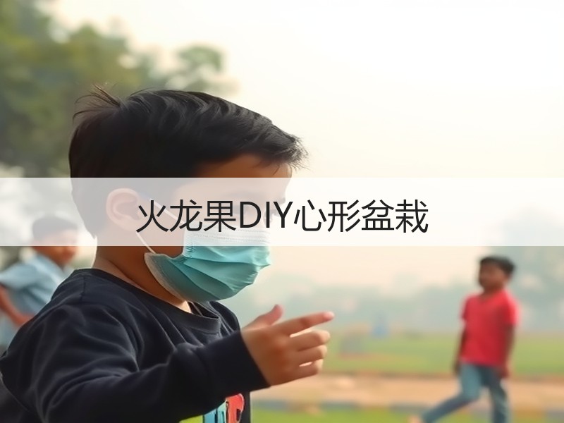 火龙果DIY心形盆栽