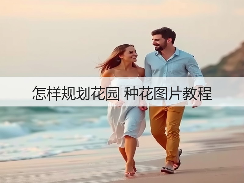 怎样规划花园 种花图片教程