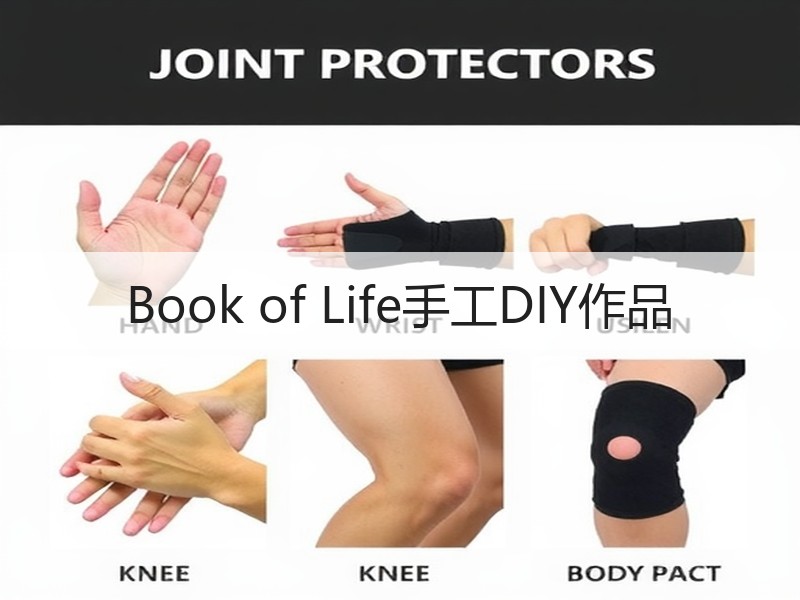 Book of Life手工DIY作品