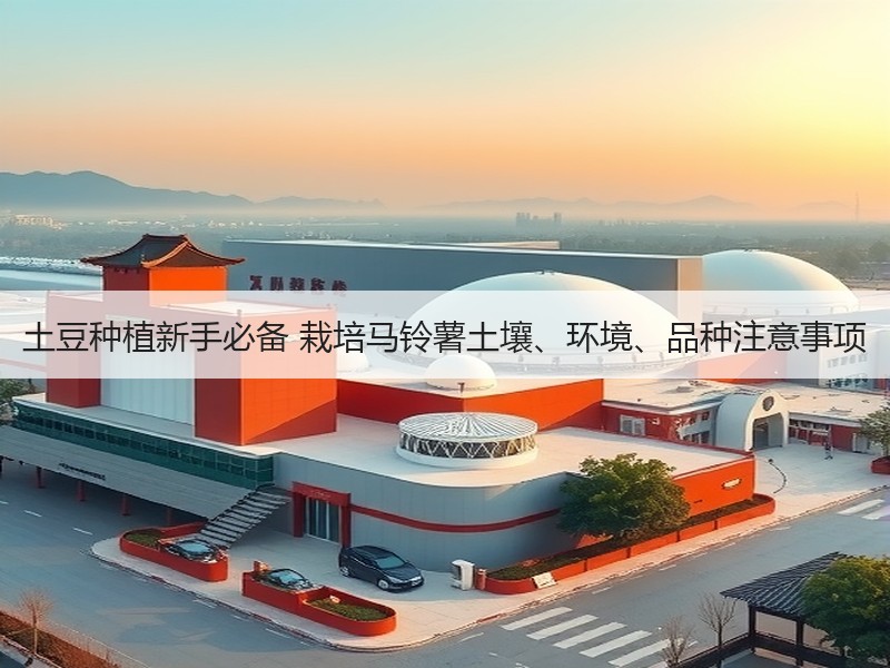 土豆种植新手必备 栽培马铃薯土壤、环境、品种注意事项