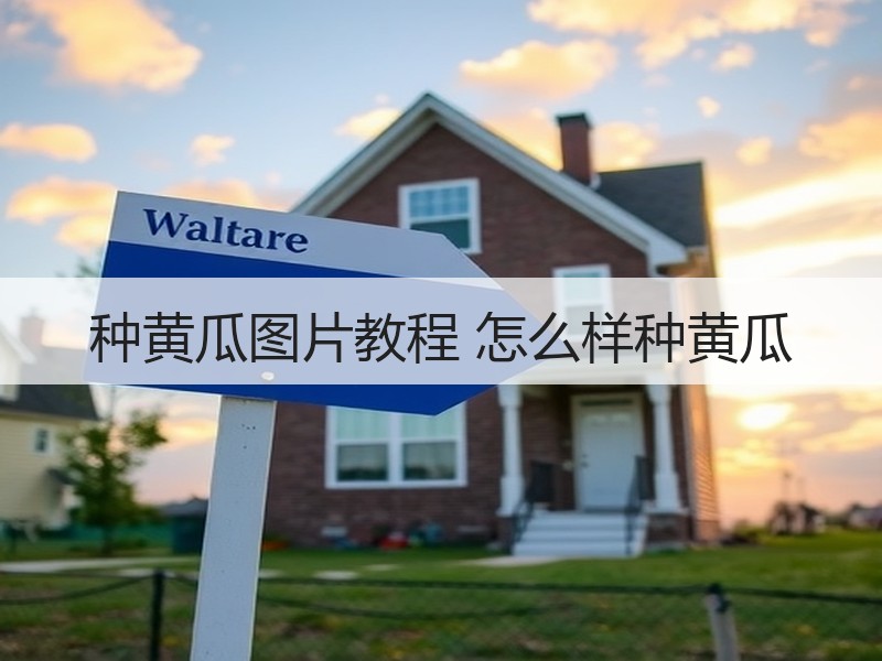 种黄瓜图片教程 怎么样种黄瓜