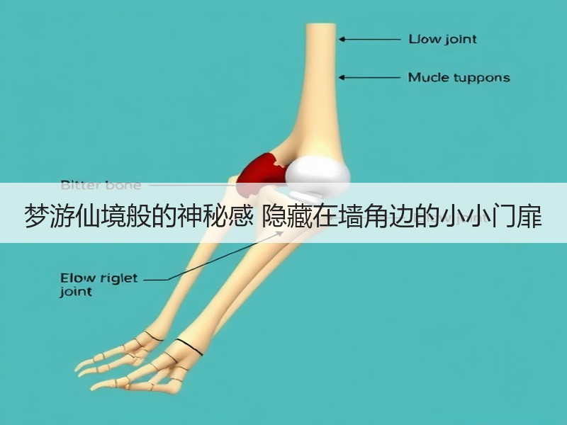 梦游仙境般的神秘感 隐藏在墙角边的小小门扉