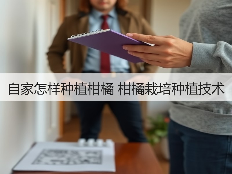 自家怎样种植柑橘 柑橘栽培种植技术