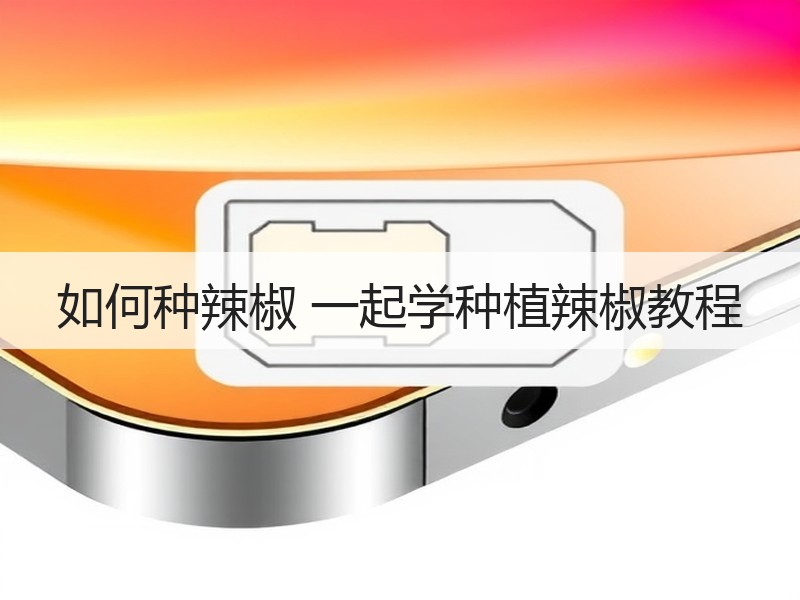 如何种辣椒 一起学种植辣椒教程