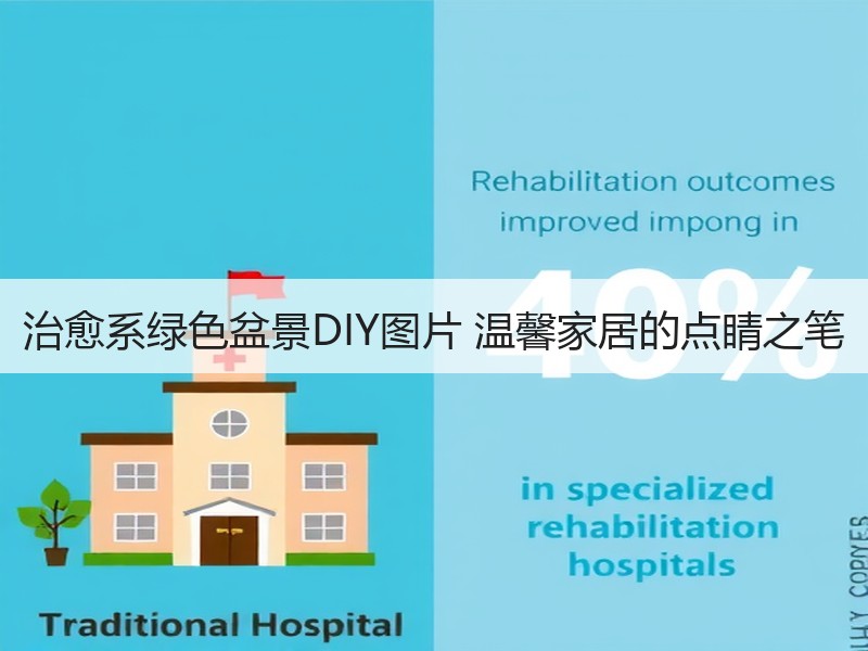 治愈系绿色盆景DIY图片 温馨家居的点睛之笔