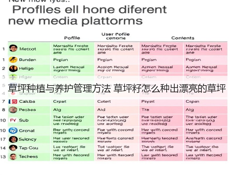 草坪种植与养护管理方法 草坪籽怎么种出漂亮的草坪