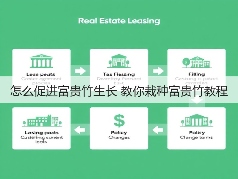 怎么促进富贵竹生长 教你栽种富贵竹教程