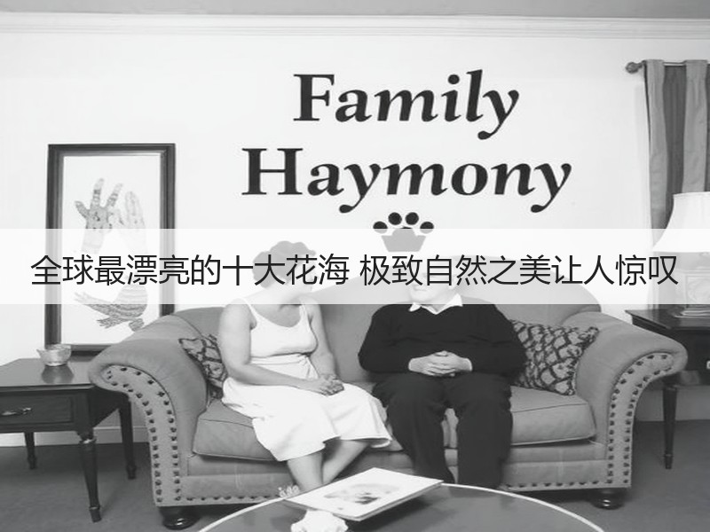 全球最漂亮的十大花海 极致自然之美让人惊叹