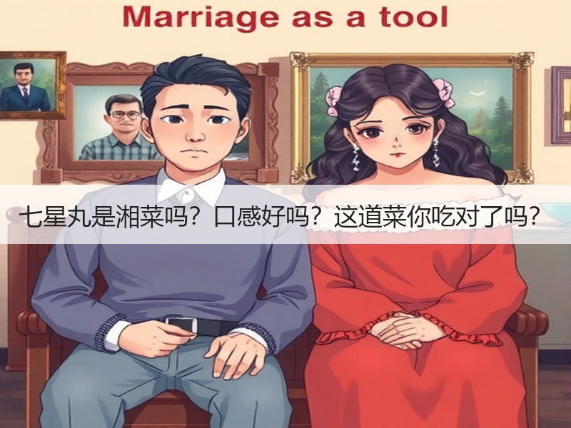 七星丸是湘菜吗？口感好吗？这道菜你吃对了吗？