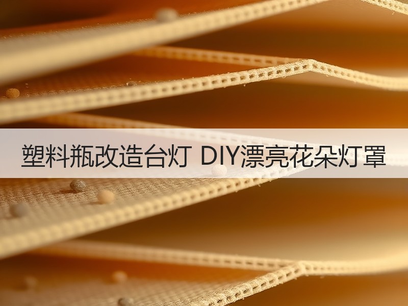 塑料瓶改造台灯 DIY漂亮花朵灯罩