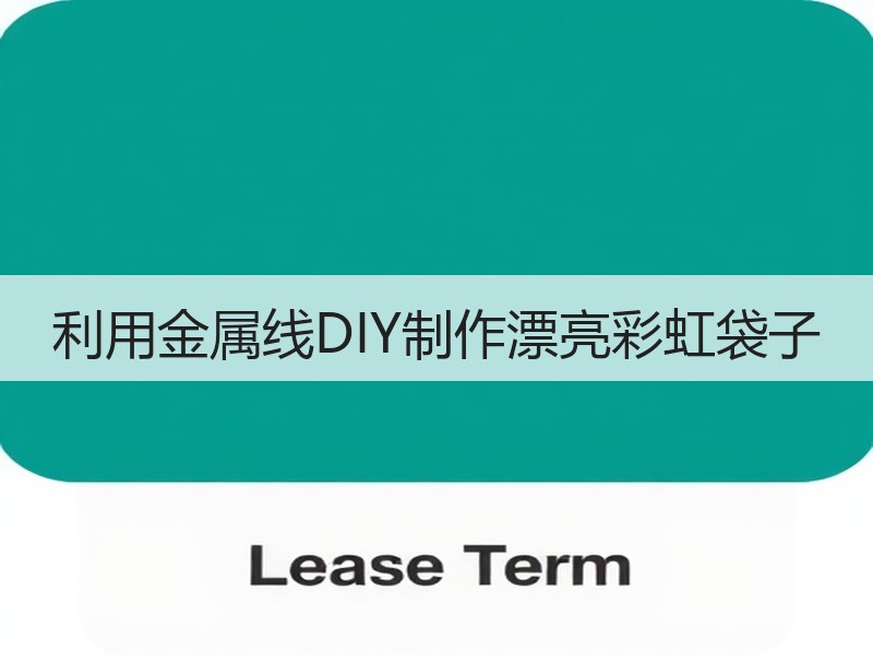 利用金属线DIY制作漂亮彩虹袋子