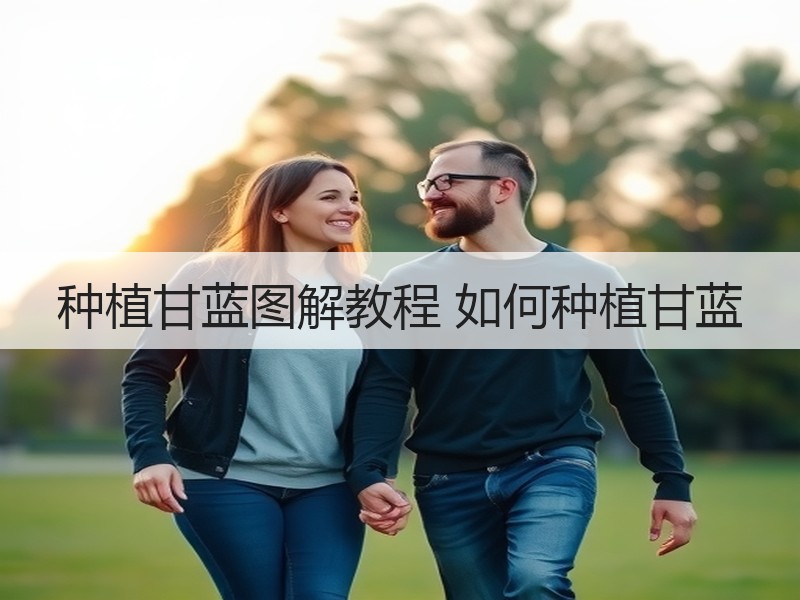 种植甘蓝图解教程 如何种植甘蓝