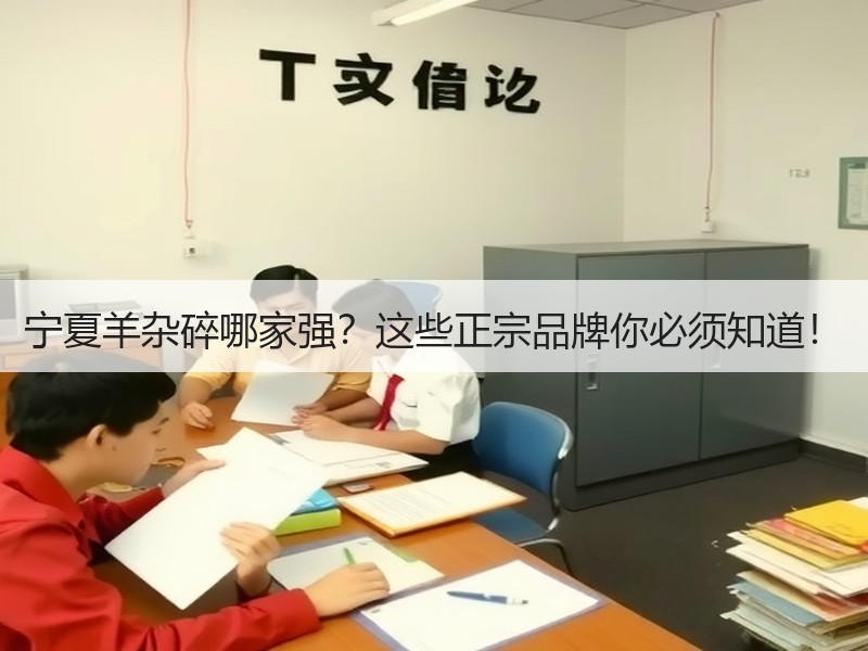 宁夏羊杂碎哪家强？这些正宗品牌你必须知道！