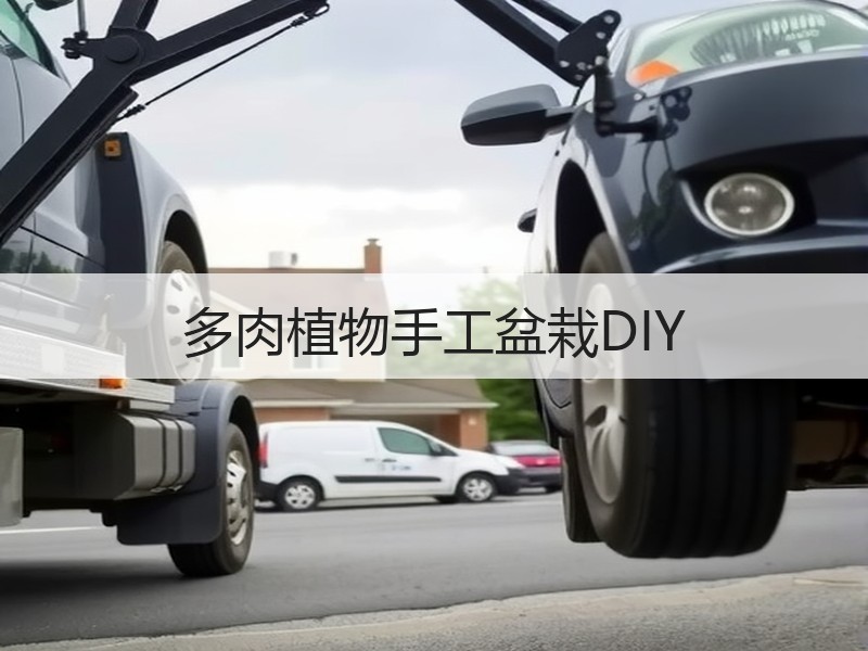 多肉植物手工盆栽DIY