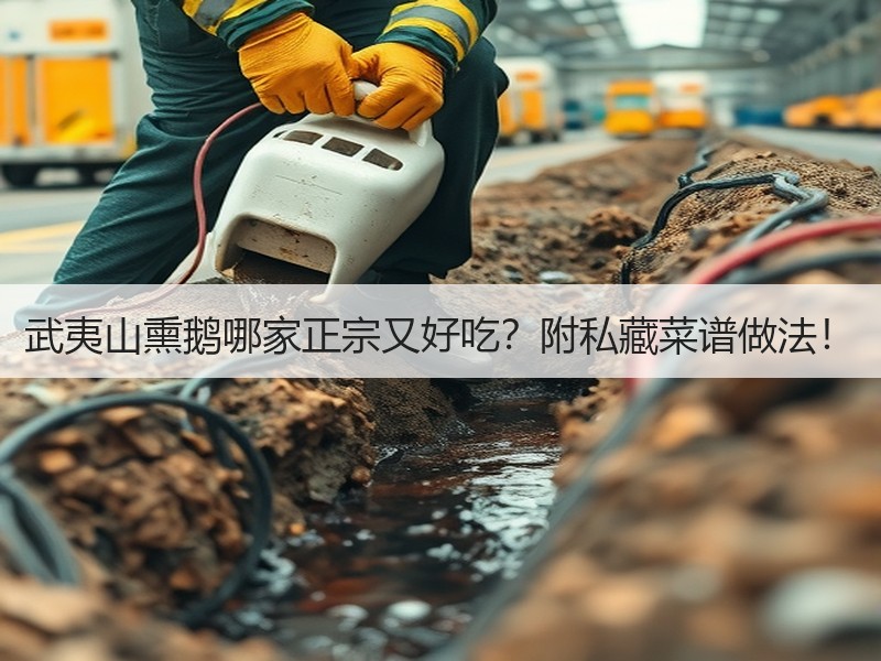 武夷山熏鹅哪家正宗又好吃？附私藏菜谱做法！