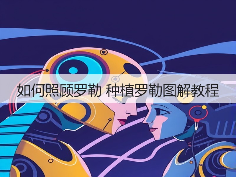 如何照顾罗勒 种植罗勒图解教程
