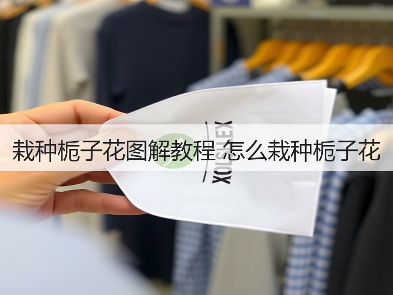 栽种栀子花图解教程 怎么栽种栀子花