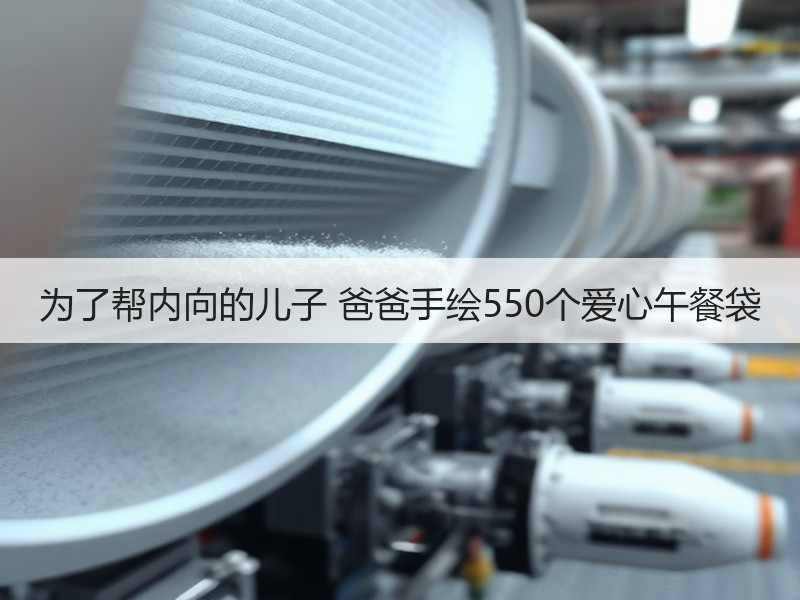 为了帮内向的儿子 爸爸手绘550个爱心午餐袋