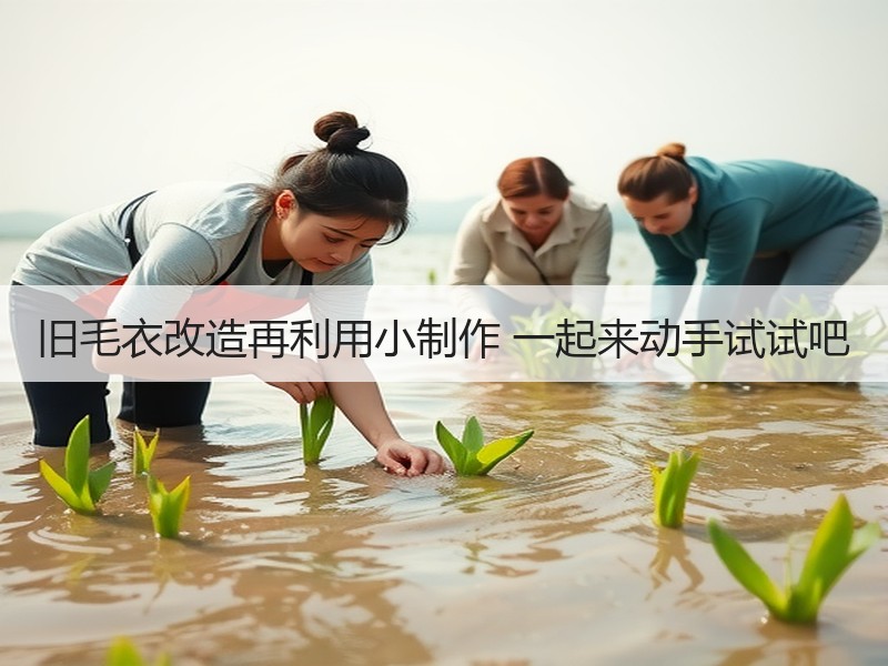 旧毛衣改造再利用小制作 一起来动手试试吧