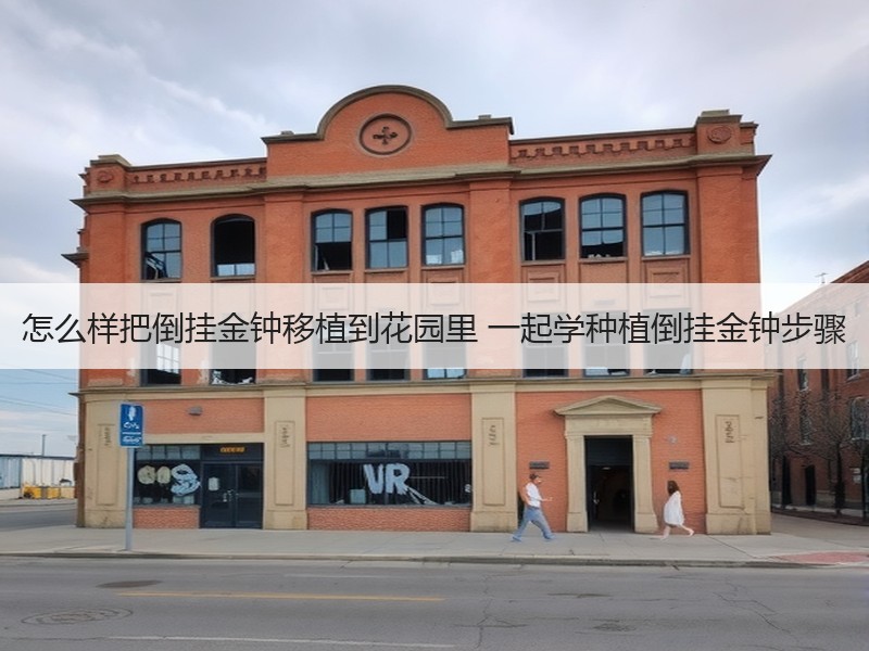 怎么样把倒挂金钟移植到花园里 一起学种植倒挂金钟步骤