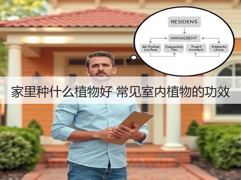 家里种什么植物好 常见室内植物的功效