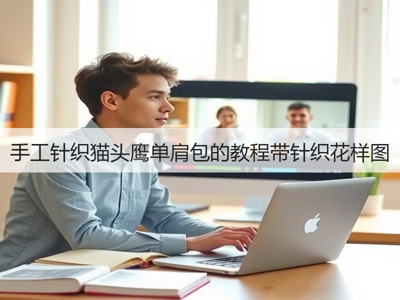 手工针织猫头鹰单肩包的教程带针织花样图