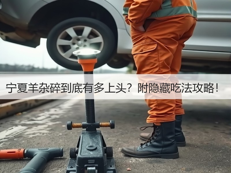 宁夏羊杂碎到底有多上头？附隐藏吃法攻略！