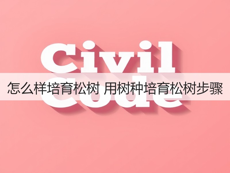 怎么样培育松树 用树种培育松树步骤