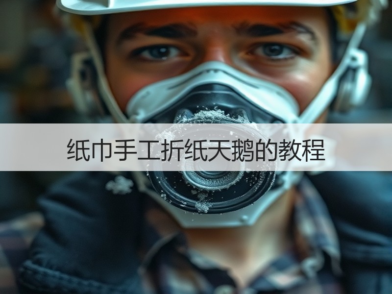 纸巾手工折纸天鹅的教程