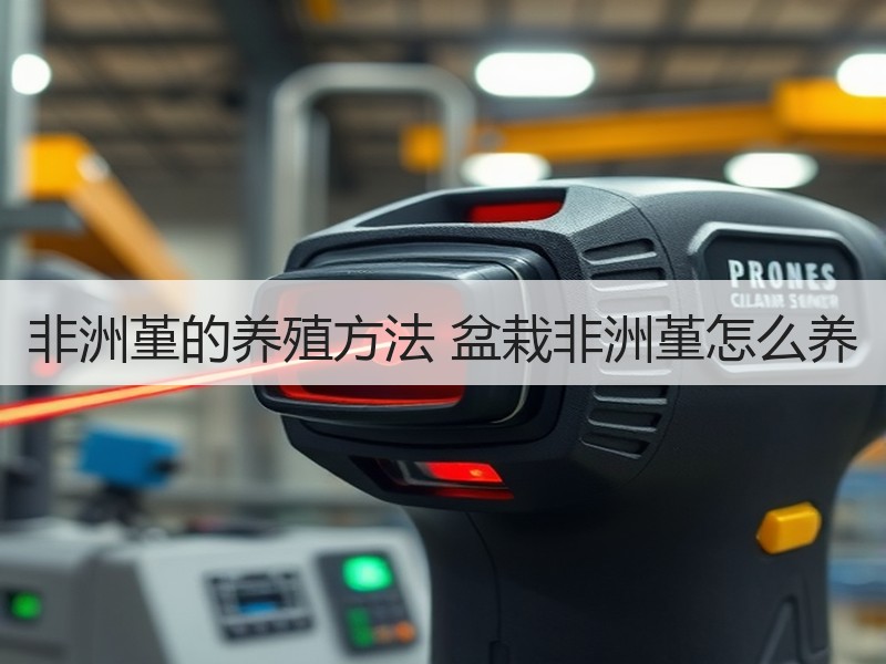 非洲堇的养殖方法 盆栽非洲堇怎么养