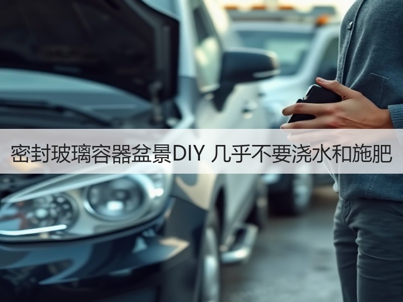 密封玻璃容器盆景DIY 几乎不要浇水和施肥
