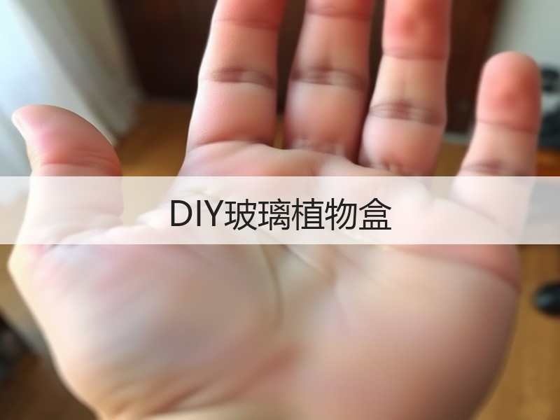 DIY玻璃植物盒