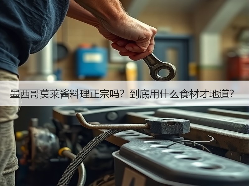 墨西哥莫莱酱料理正宗吗？到底用什么食材才地道？