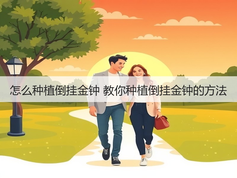 怎么种植倒挂金钟 教你种植倒挂金钟的方法