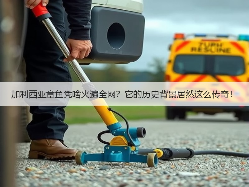 加利西亚章鱼凭啥火遍全网？它的历史背景居然这么传奇！