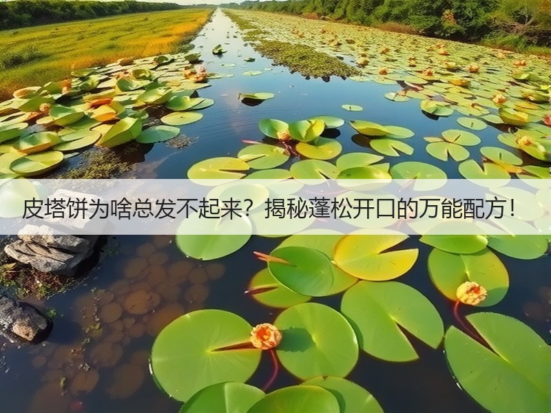 皮塔饼为啥总发不起来？揭秘蓬松开口的万能配方！