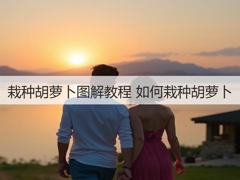 栽种胡萝卜图解教程 如何栽种胡萝卜