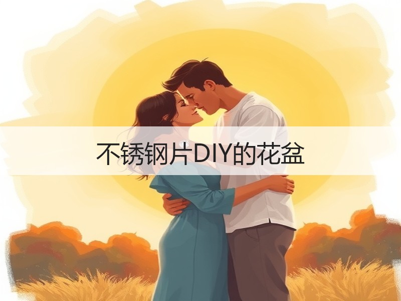 不锈钢片DIY的花盆