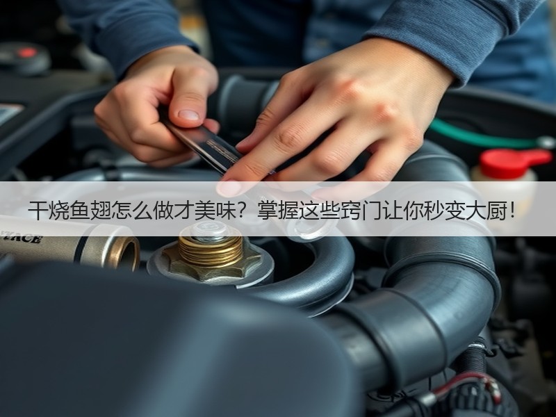 干烧鱼翅怎么做才美味？掌握这些窍门让你秒变大厨！