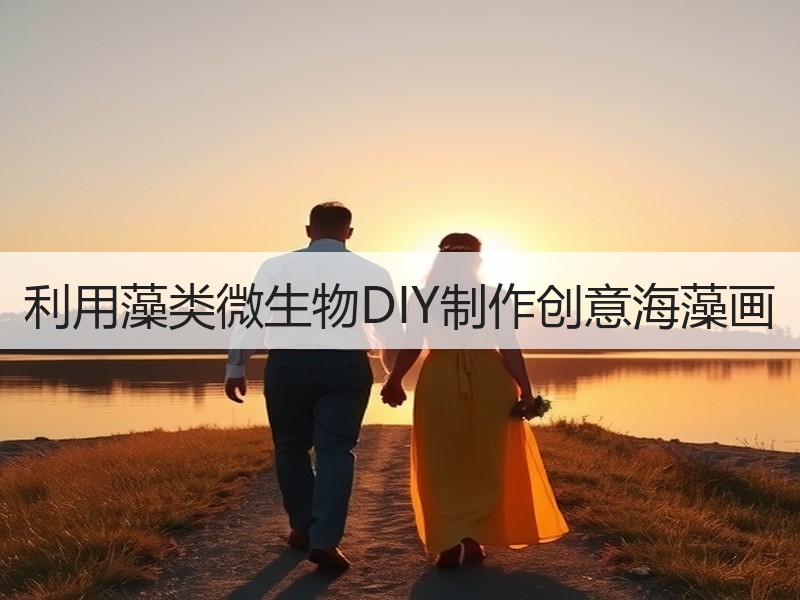 利用藻类微生物DIY制作创意海藻画