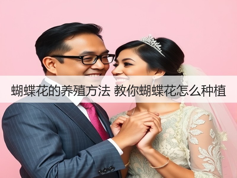 蝴蝶花的养殖方法 教你蝴蝶花怎么种植