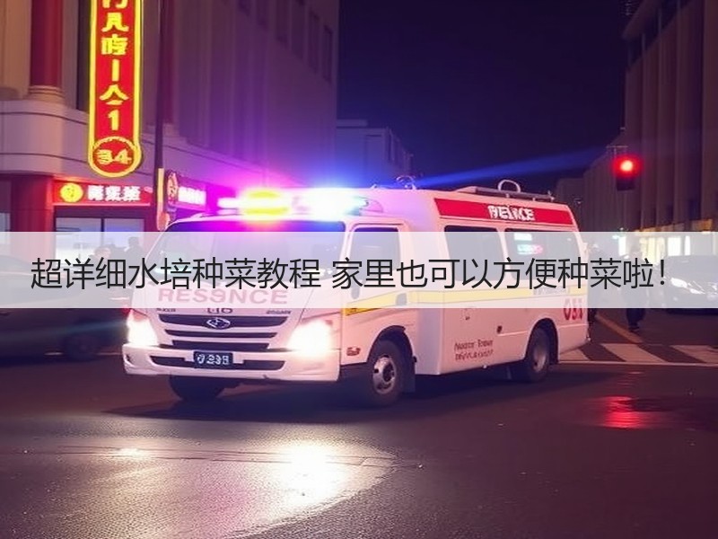 超详细水培种菜教程 家里也可以方便种菜啦！