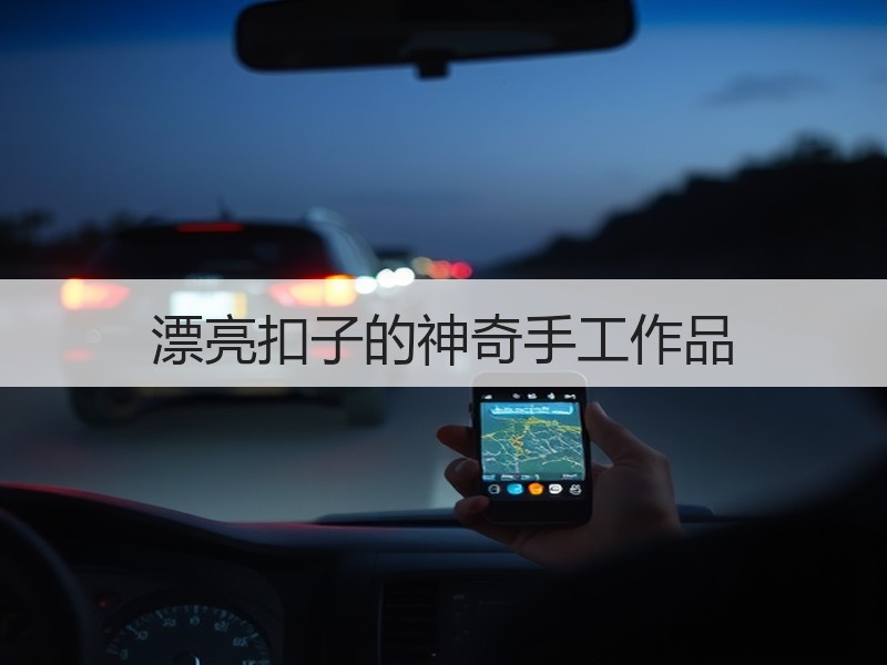 漂亮扣子的神奇手工作品